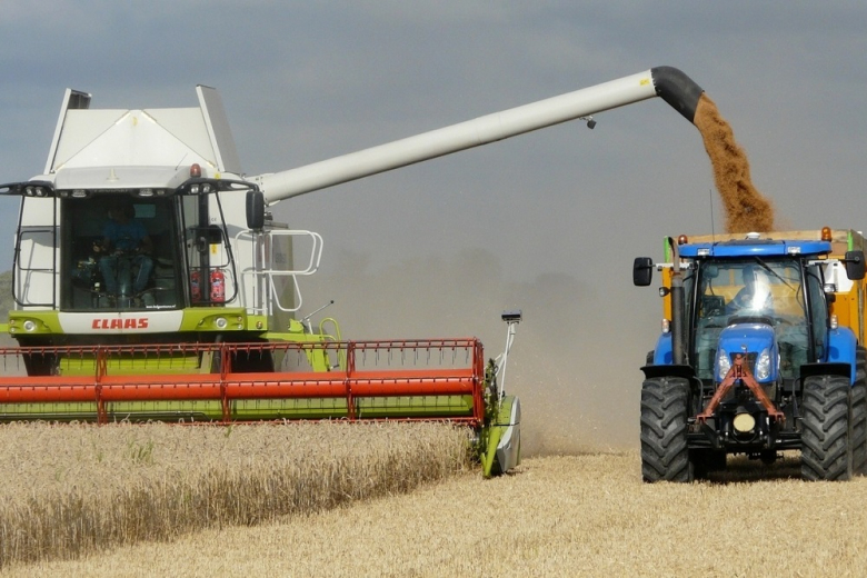 Мировое производство зерна в 2023-24 сельхозгоду вырастет на 1,1% - ФАО